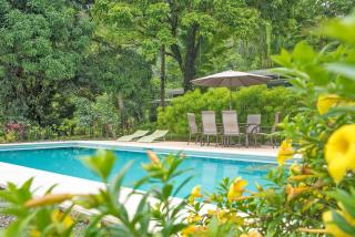 Tree of Life Cabinas - Dominical - 8