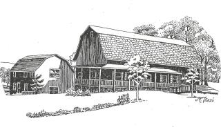 The South Glenora Tree Farm - Dundee - 0