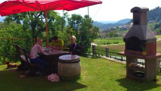 Apartments and Rooms With View on Bled - Bled - 8