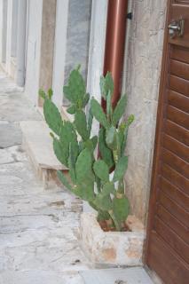 Casa Jenny - Ceglie Messapica - 2