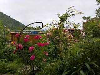 Appartement Ria - Ria - 1