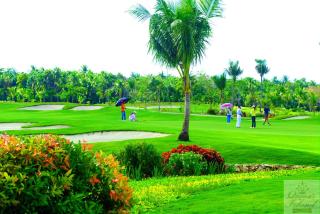 Queens Island Golf and Resort - Medellin - 4
