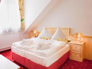 Elbhotel Bad Schandau - Bad Schandau - 1