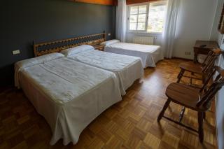 As Areas II - Viveiro - 2