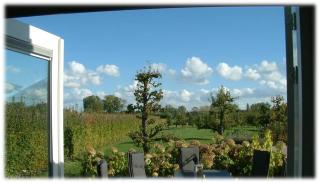Fruitbedrijf Stek - Kedichem - 8