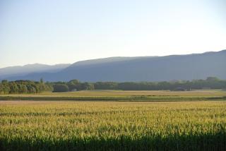 Auberge de la Réunion - 6