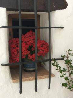 Conjunto Rural Casa Victoria - Villaluenga del Rosario - 7