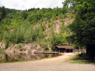 Ferienwohnung-Jungbauernhof - Alpirsbach - 5