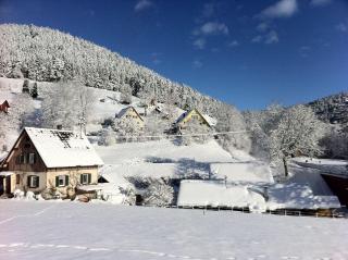 Ferienwohnung-Jungbauernhof - 2