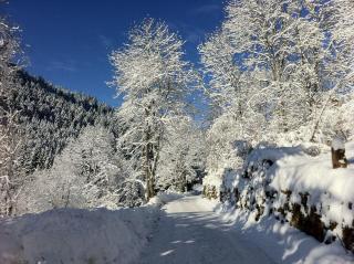 Ferienwohnung-Jungbauernhof - 1