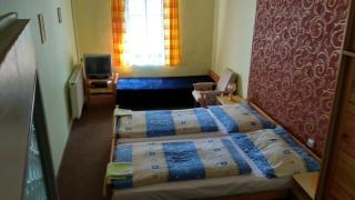 Hotel U Broucka - Neustadt an der Mettau - 5