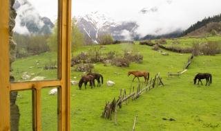 Peak Mazeri Guest House - Mazeri - 2