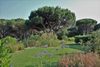 Appartement les Pins Bleus A8 - Sainte-Maxime - 8