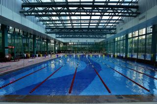 Shenzhen Bay Hisoar Hotel - Shenzhen - 6