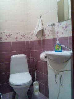 Skovoroda apartment - Lviv - 2