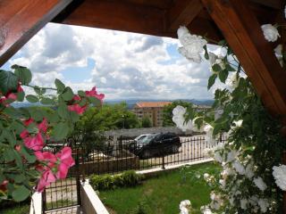 Apartments Kaloyan - Veliko Tŭrnovo - 8