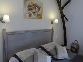 Domaine de la Guignardière - Viévy-le-Rayé - 1