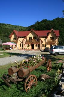 Green Mountain Resort - Scrind-Frăsinet - 5