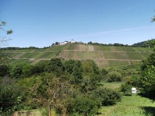 Ferienwohnungen Gibbert - Pünderich - 8