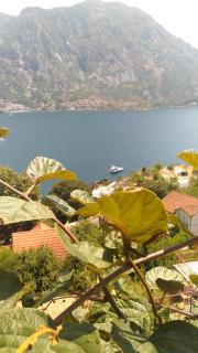 Apartment Angelina - Risan - 0