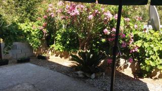 Apartmani Grozdanic Canj - Čanj - 2