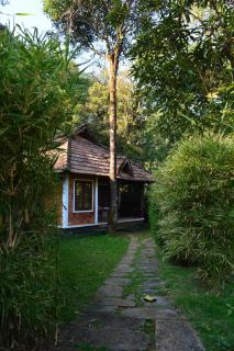 Misty Woods Resort - 4