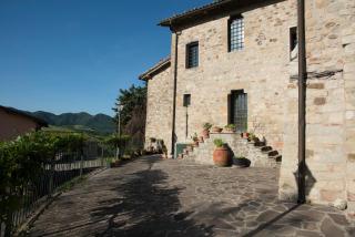Tenuta Folesano Wine Estate 13th century - Marzabotto - 6