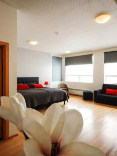 Volcano Hotel - Vík - 2