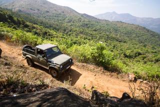 Misty Woods Resort - 1