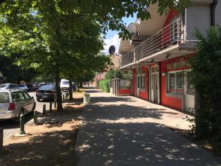 Apartments Premović Nikšić - Nikšić - 2