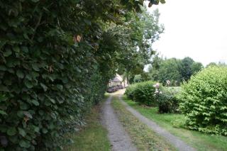Le Gite du Grand Saulaie - Chambellay - 8