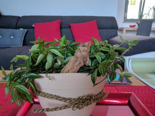 Jan's Place at Seaside - Ankaran - 3