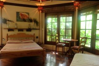 Jungle Cocoon - Caye Caulker - 7