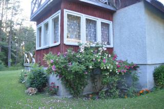Roosi Holiday Home - Rannaküla - 8