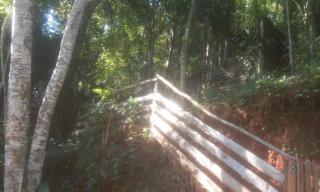 Parque dos Passaros - Santa Branca - 4