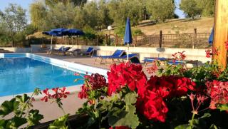 Agriturismo Cornieto - Monteleone dʼOrvieto - 1