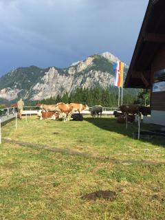 Schiappartement Nassfeld - Sonnenalpe Nassfeld - 6