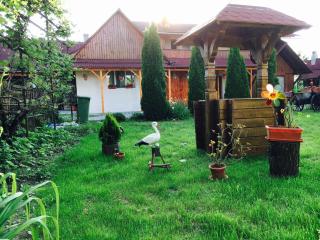 Pensiunea Anca Sapanta-primeste carduri de vacanta - Săpânța - 1