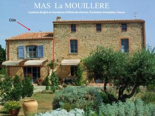 Mas la Mouillere - Camélas - 0