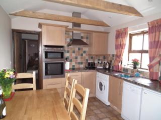 The Barn, Lower Spring - Tavistock - 3