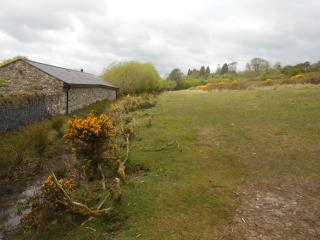 The Barn, Lower Spring - Tavistock - 4