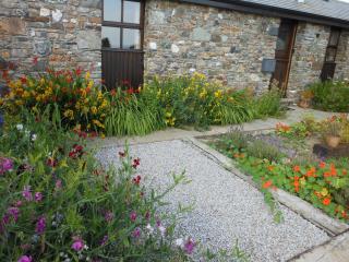 The Barn, Lower Spring - Tavistock - 7