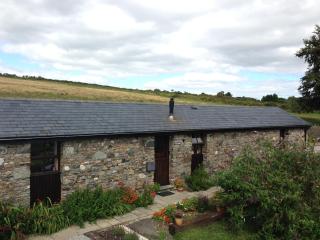 The Barn, Lower Spring - Tavistock - 0