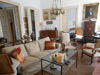 Mansion at Chora in Andros - Andros - 5