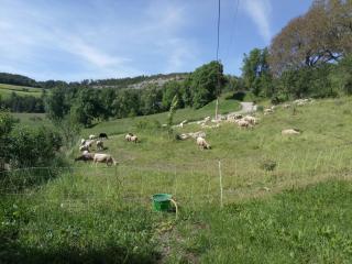 Les logis de Lucie - 2