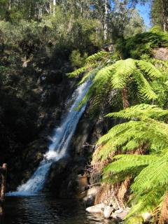 Goldberryaccommodation - Marysville - 1