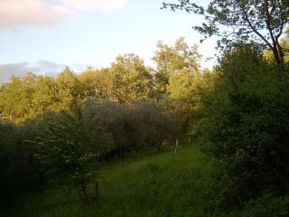Agriturismo le Cammarose - Felitto - 2