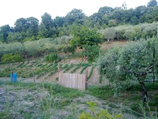 Agriturismo le Cammarose - 7