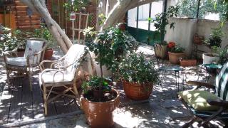 Cielito Lindo - Montpellier - 2