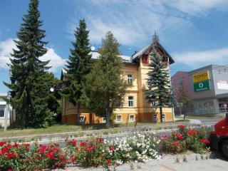 Villa KONIG - Mariánské Lázně - 7